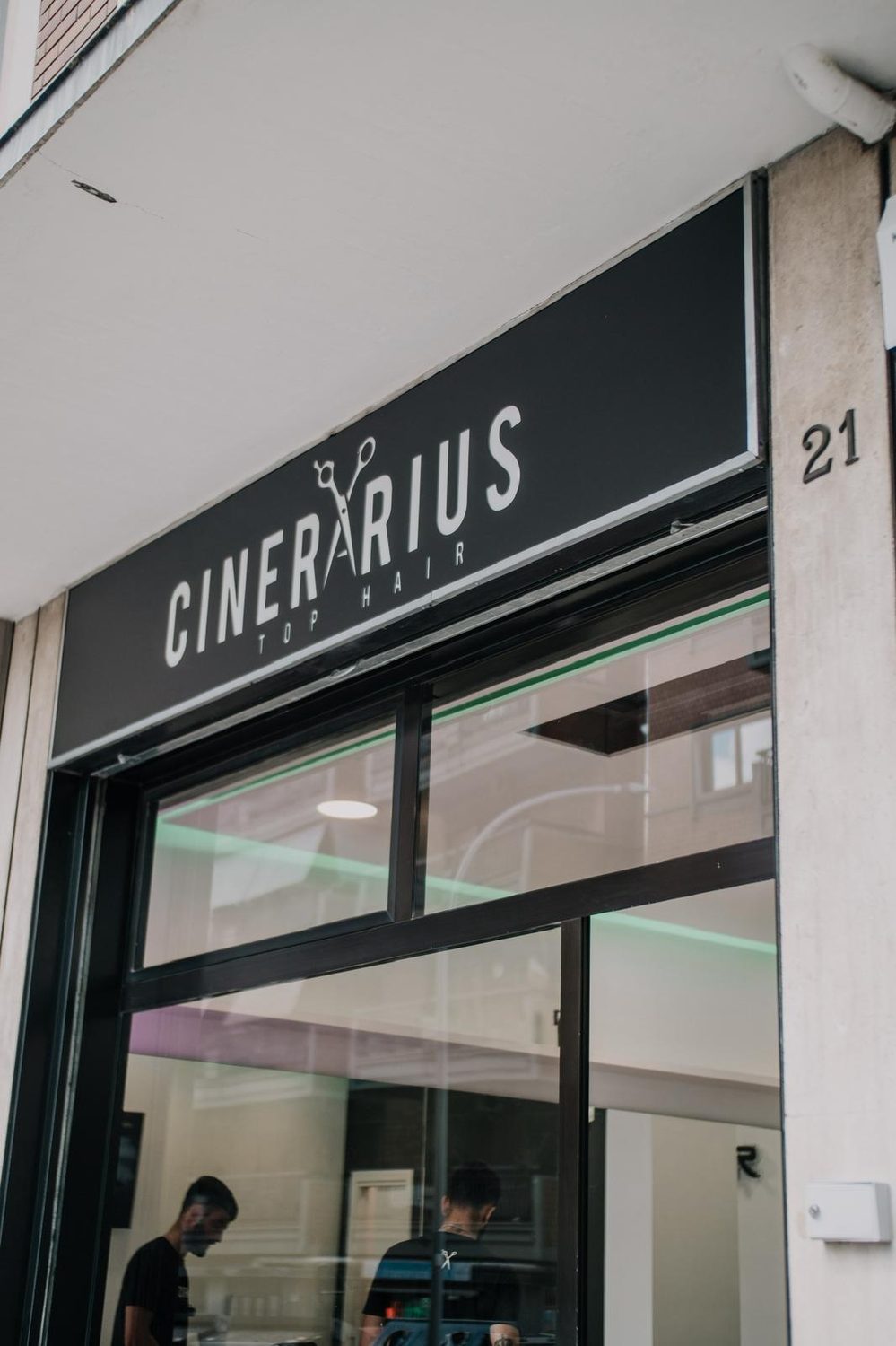 Cinerarius — foto 21